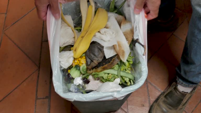 Recycling Services for Junk in Bayou Lourse, LA